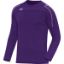 Afbeeldingen van Sweater Classico paars